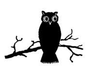 _owl
