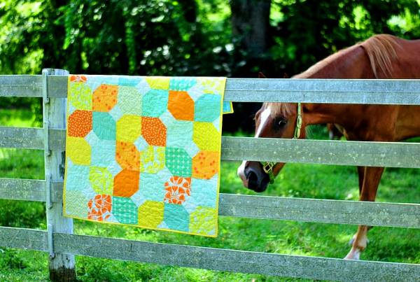 Citrus and Mint baby quilt on fence with horse Lindsay Connor