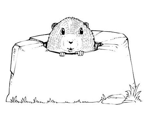 Ground Hog Day coloring page